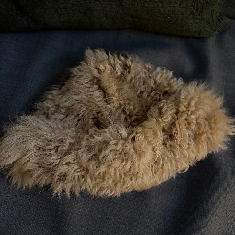 Cawley Studio hat